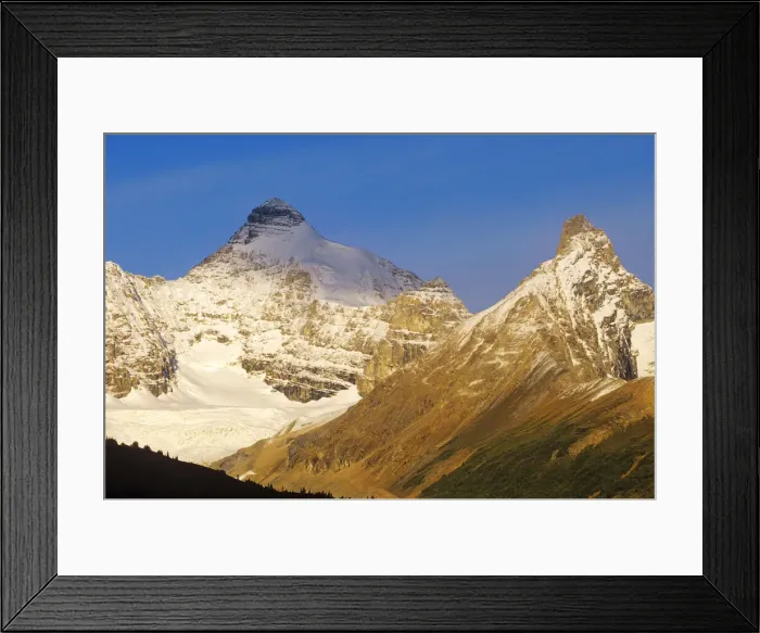 Framed Print : DDE-90027613