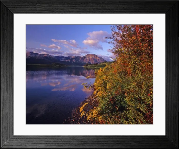 Framed Print : DDE-90027617 Framed Print : DDE-90027617