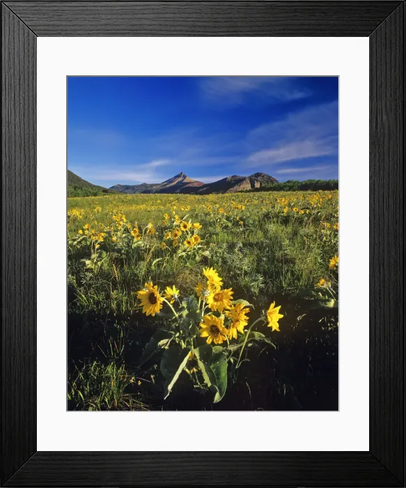 Framed Print : DDE-90027621 Framed Print : DDE-90027621