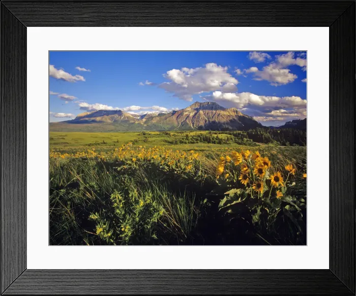 Framed Print : DDE-90027622 Framed Print : DDE-90027622