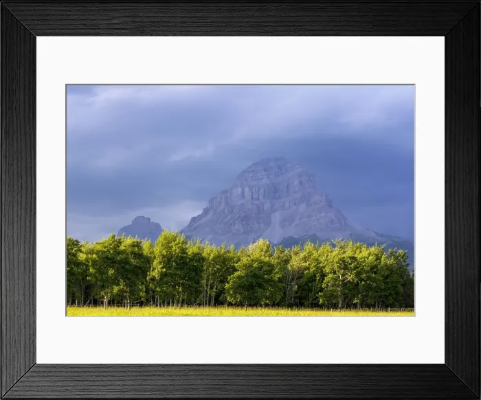 Framed Print : DDE-90027630 Framed Print : DDE-90027630