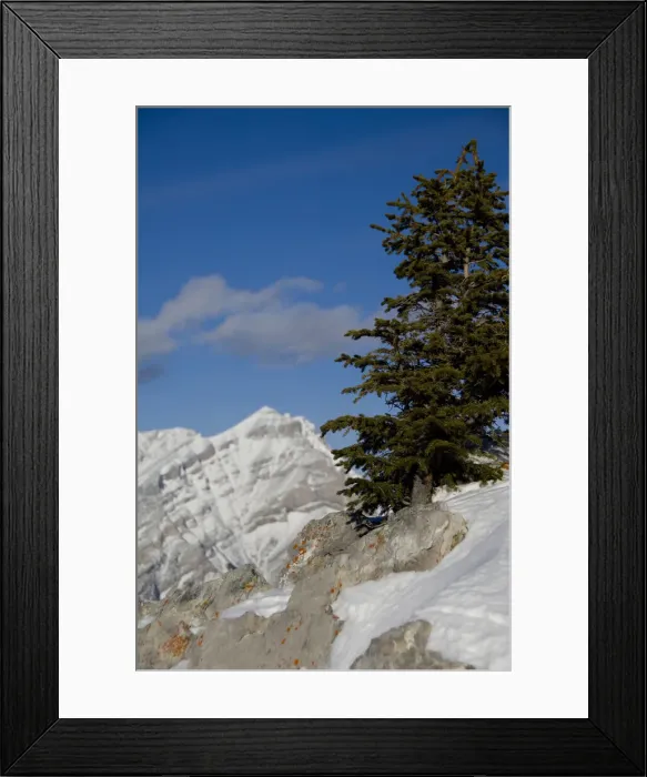 Framed Print : DDE-90027631 Framed Print : DDE-90027631