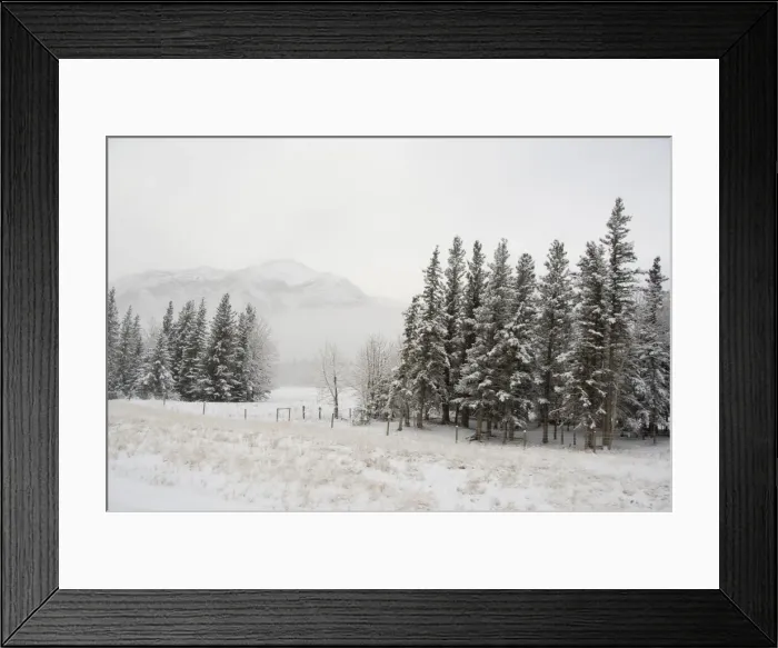 Framed Print : DDE-90027633