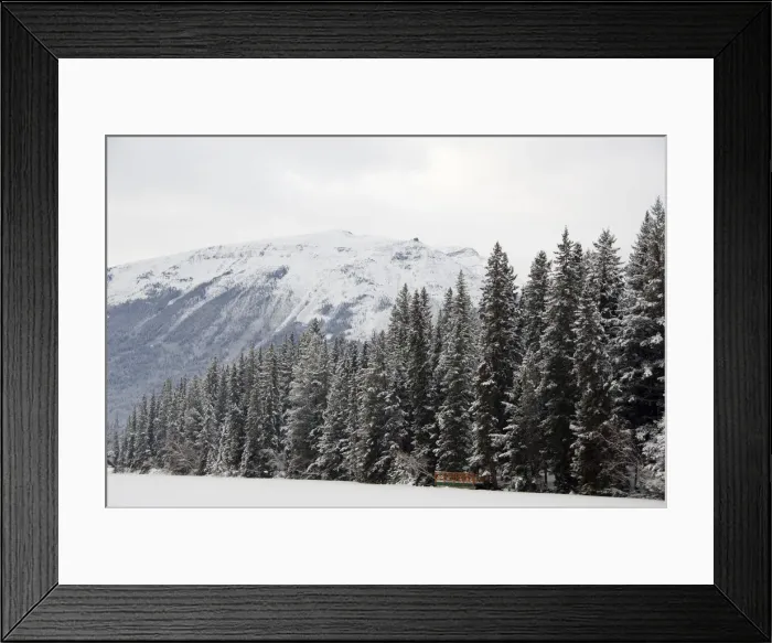 Framed Print : DDE-90027635