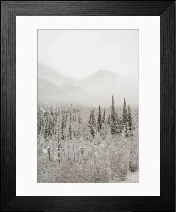 Framed Print : DDE-90027634 Framed Print : DDE-90027634