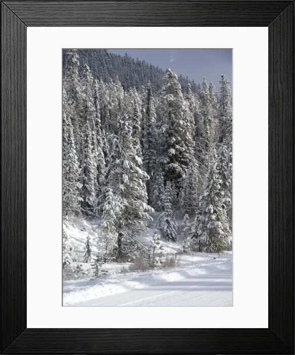 Framed Print : DDE-90027639