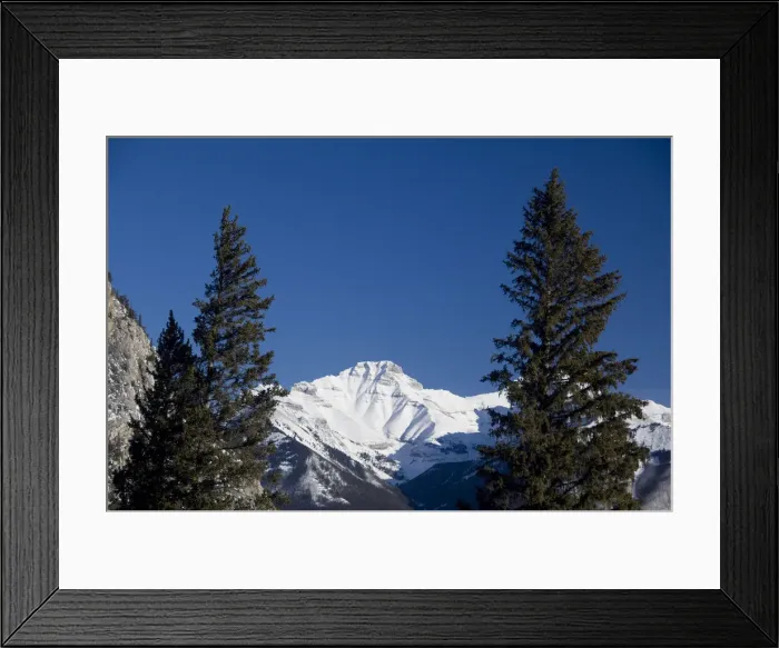 Framed Print : DDE-90027646 Framed Print : DDE-90027646
