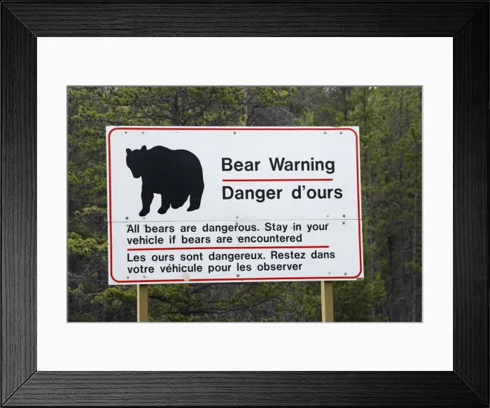 Framed Print : DDE-90027659 Framed Print : DDE-90027659