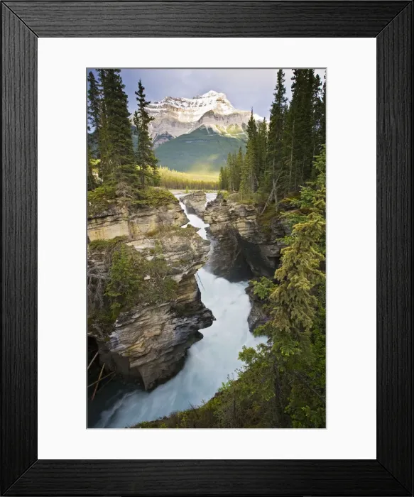 Framed Print : DDE-90027686