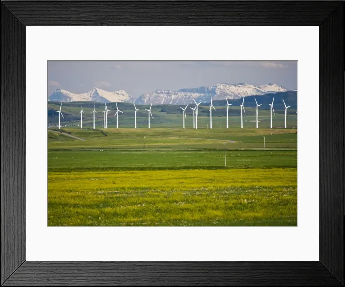 Framed Print : DDE-90027696 Framed Print : DDE-90027696