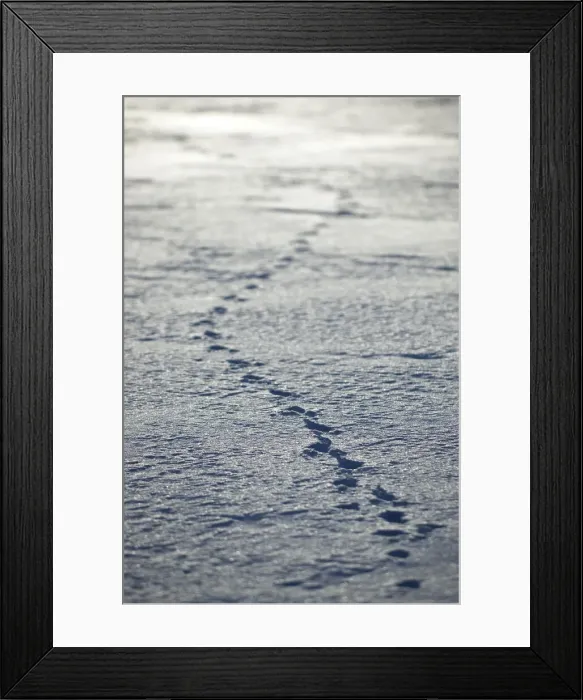 Framed Print : DDE-90027706 Framed Print : DDE-90027706