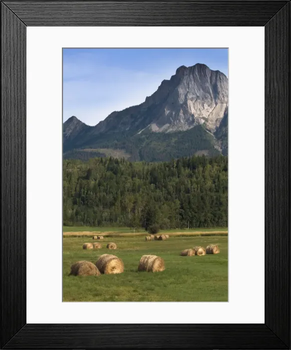 Framed Print : DDE-90027715 Framed Print : DDE-90027715