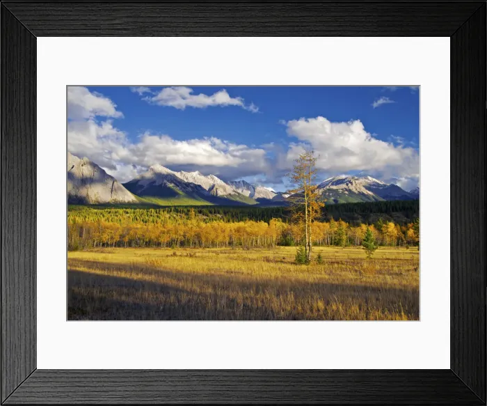 Framed Print : DDE-90027720 Framed Print : DDE-90027720