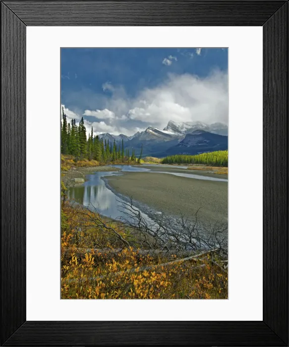 Framed Print : DDE-90027724 Framed Print : DDE-90027724