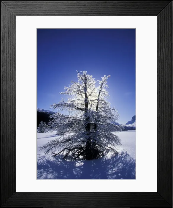 Framed Print : DDE-90027732 Framed Print : DDE-90027732