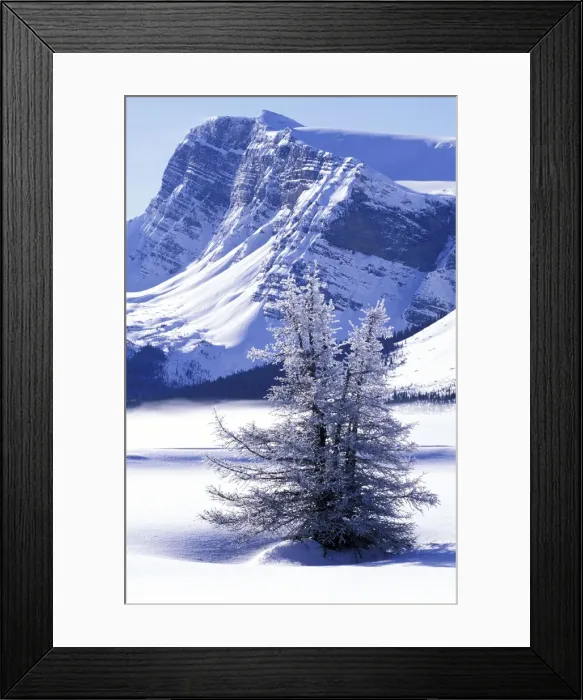 Framed Print : DDE-90027733 Framed Print : DDE-90027733