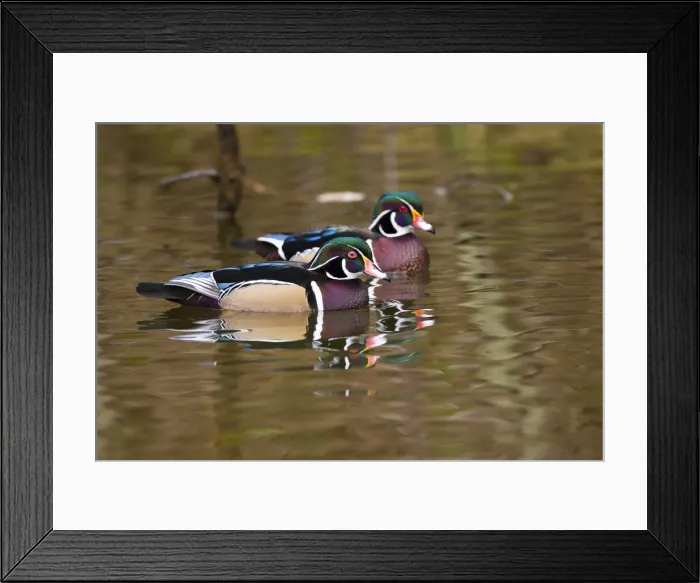Framed Print : DDE-90027736 Framed Print : DDE-90027736