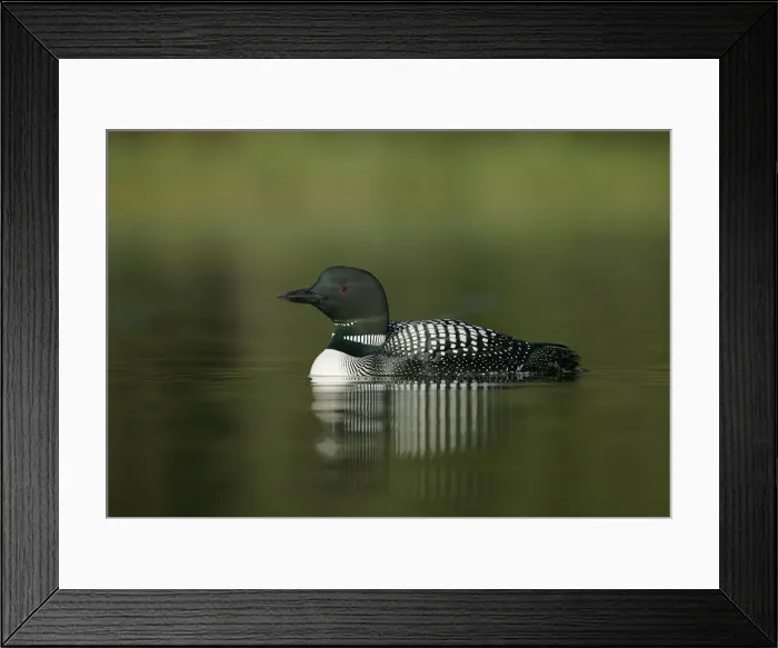 Framed Print : DDE-90027750 Framed Print : DDE-90027750