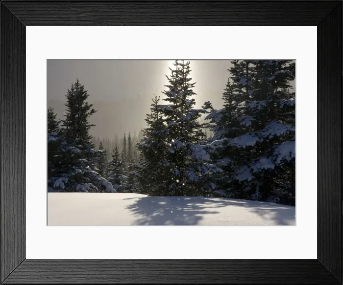 Framed Print : DDE-90027754 Framed Print : DDE-90027754