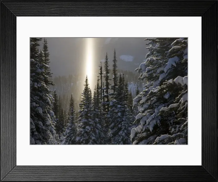 Framed Print : DDE-90027755 Framed Print : DDE-90027755