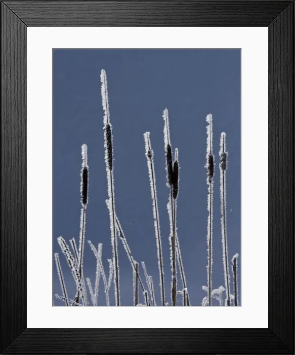 Framed Print : DDE-90027756 Framed Print : DDE-90027756