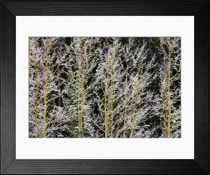 Framed Print : DDE-90027762 Framed Print : DDE-90027762
