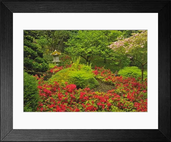 Framed Print : DDE-90027765 Framed Print : DDE-90027765