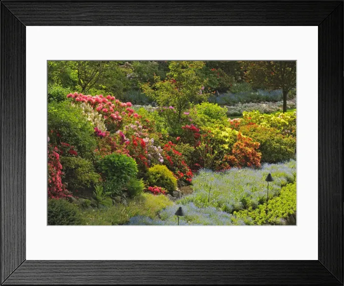 Framed Print : DDE-90027766 Framed Print : DDE-90027766