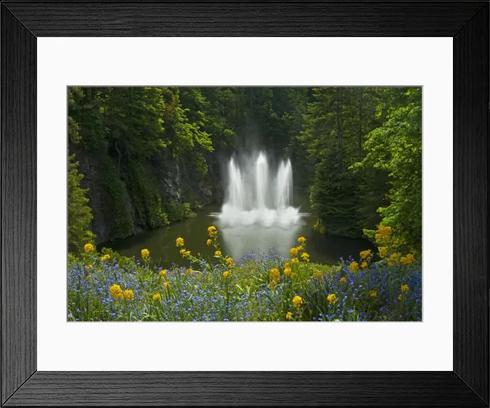 Framed Print : DDE-90027770 Framed Print : DDE-90027770