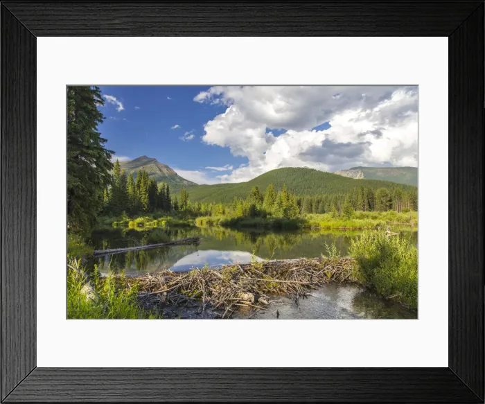 Framed Print : DDE-90027789 Framed Print : DDE-90027789