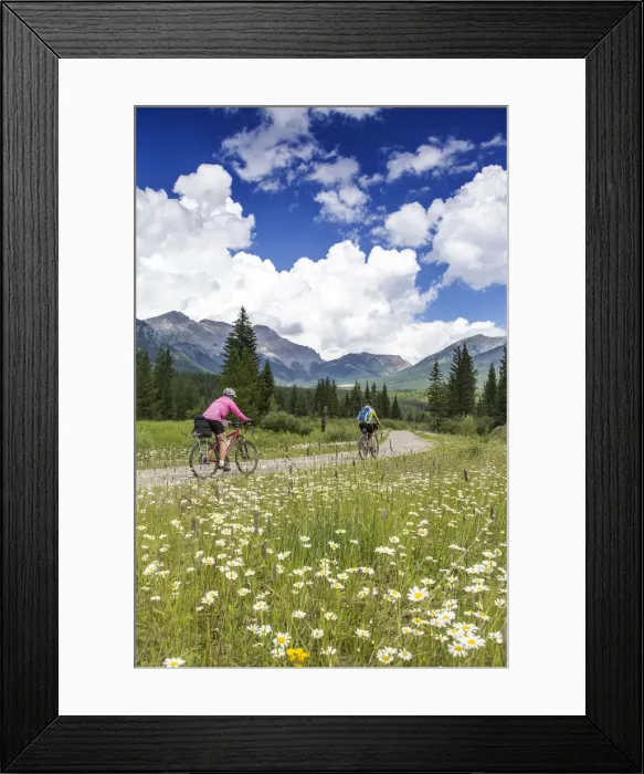 Framed Print : DDE-90027790