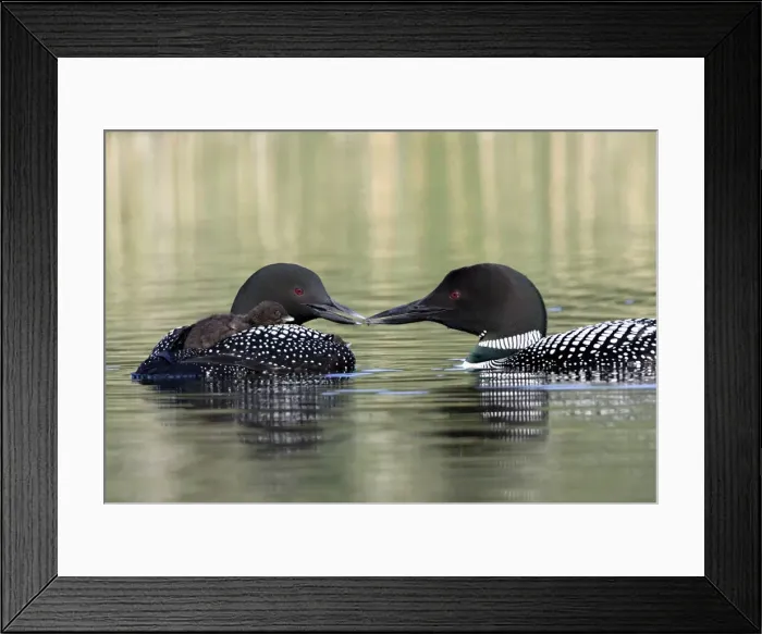 Framed Print : DDE-90027793 Framed Print : DDE-90027793