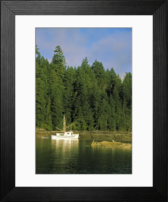 Framed Print : DDE-90027801 Framed Print : DDE-90027801