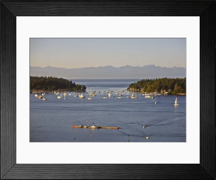 Framed Print : DDE-90027805 Framed Print : DDE-90027805