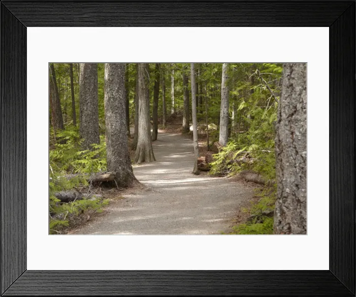 Framed Print : DDE-90027808 Framed Print : DDE-90027808