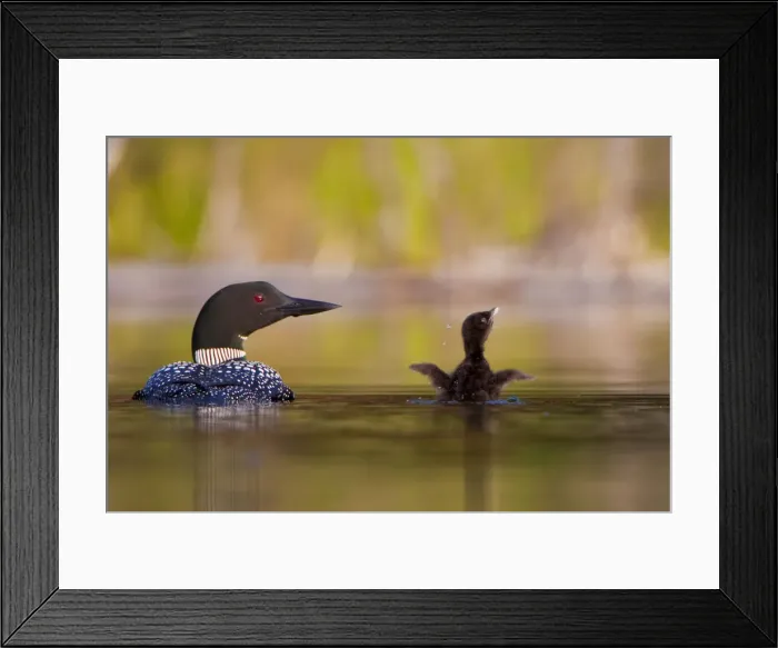 Framed Print : DDE-90027825