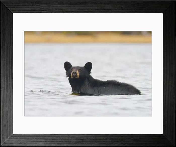 Framed Print : DDE-90027840 Framed Print : DDE-90027840