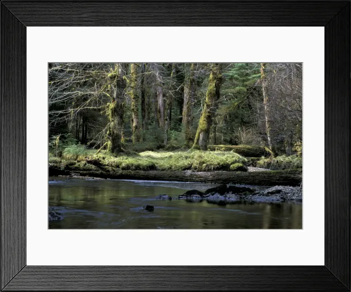 Framed Print : DDE-90027854 Framed Print : DDE-90027854