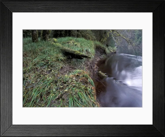 Framed Print : DDE-90027853 Framed Print : DDE-90027853