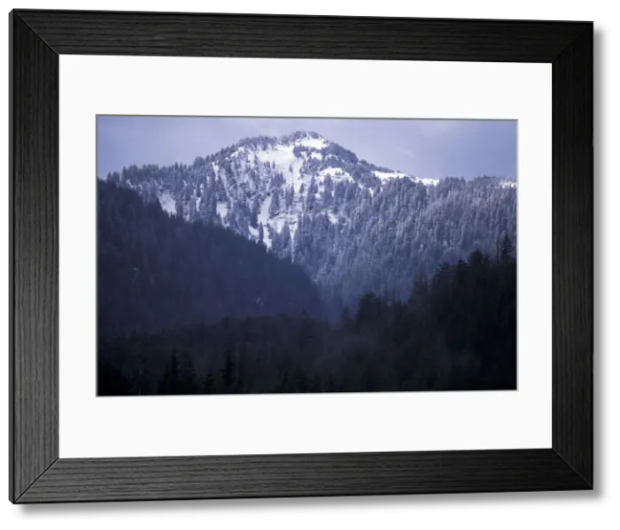 Framed Print : DDE-90027855