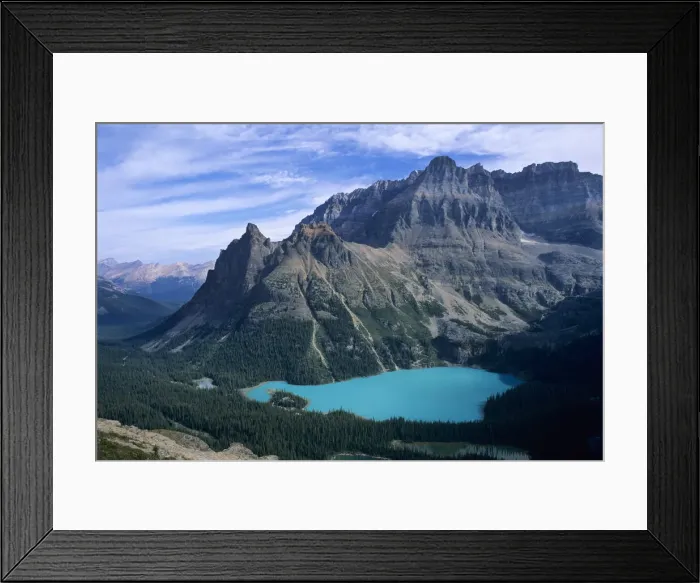 Framed Print : DDE-90027862 Framed Print : DDE-90027862