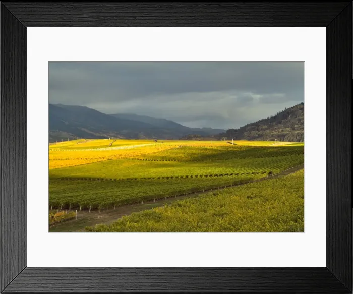 Framed Print : DDE-90027864 Framed Print : DDE-90027864