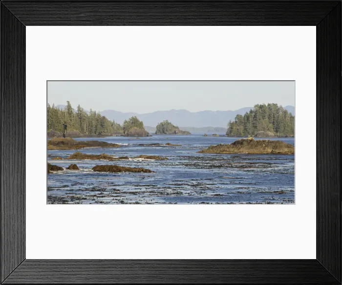Framed Print : DDE-90027875 Framed Print : DDE-90027875