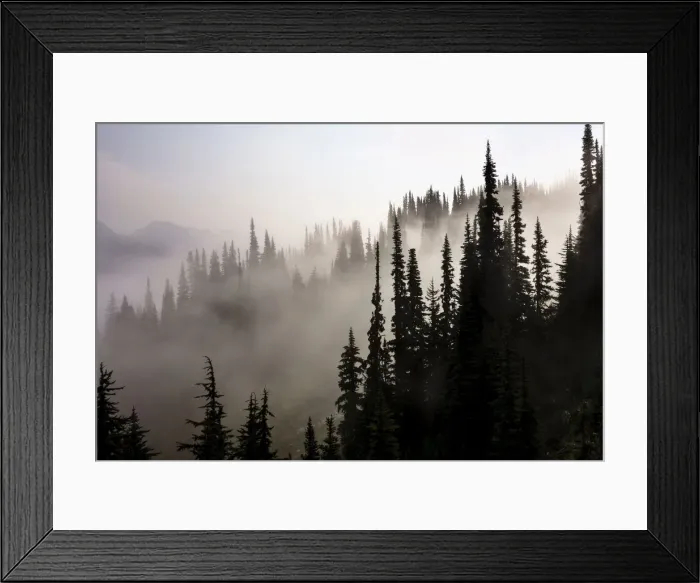 Framed Print : DDE-90027881 Framed Print : DDE-90027881