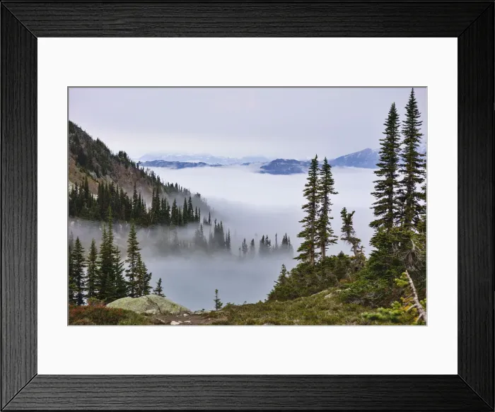 Framed Print : DDE-90027883