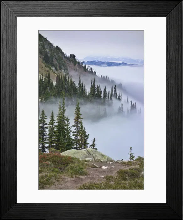 Framed Print : DDE-90027882 Framed Print : DDE-90027882
