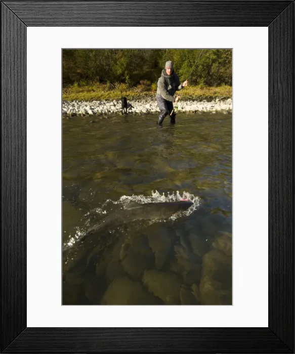 Framed Print : DDE-90027886 Framed Print : DDE-90027886