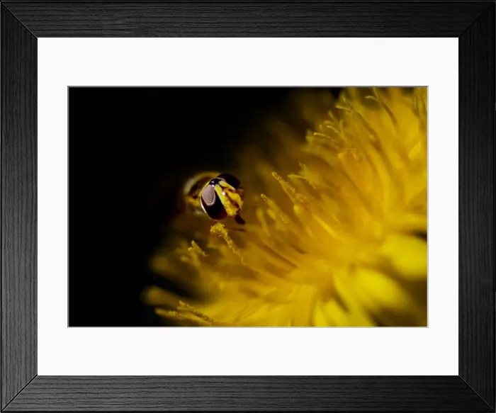Framed Print : DDE-90027889