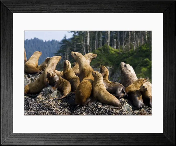 Framed Print : DDE-90027892