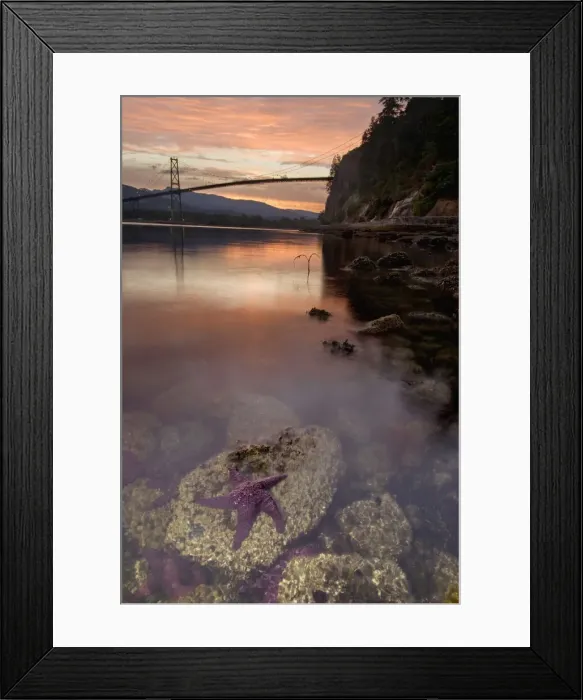 Framed Print : DDE-90027896 Framed Print : DDE-90027896